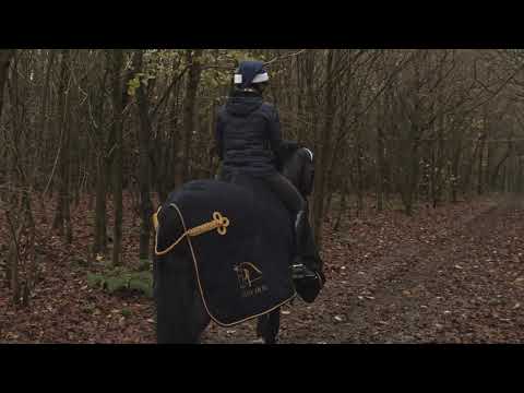 Weihnachtsgrüss von Blue Hors