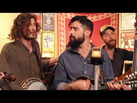 Silver String Band - In The Grass Where We Lay - 2019 NPR Tiny Desk Entry