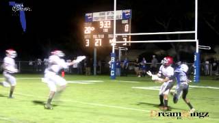 RONALD PATTERSON TD CATCH VS LEE