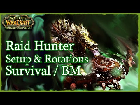 [WoW TBCC] Raid Hunter (BM/Survival) Setup and Rotations