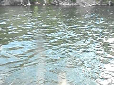 Lower Twin Lakes Nakina September Brook Trout - YouTube