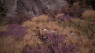 アンチャーテッド　カイゾクヘン2