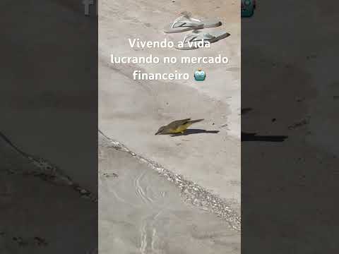 Lagoa parque , Caldas novas , vida de trading #trader