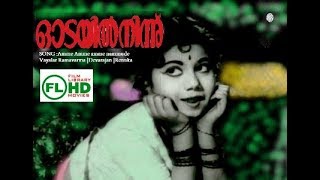 Malayalam video song|Amme amme amme nammude |Odayil Ninnu|