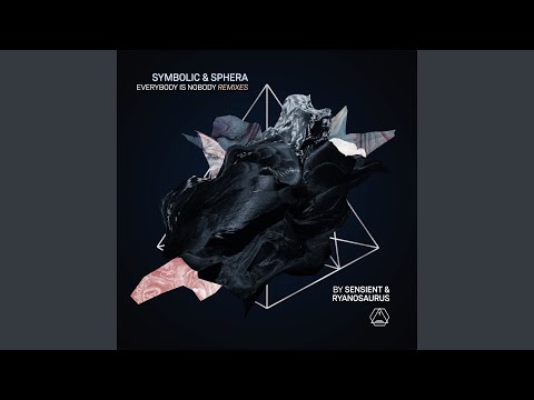 Everybody Is Nobody Ryanosaurus Remix
