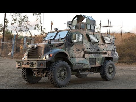 Maxx Pro International Category 3D model