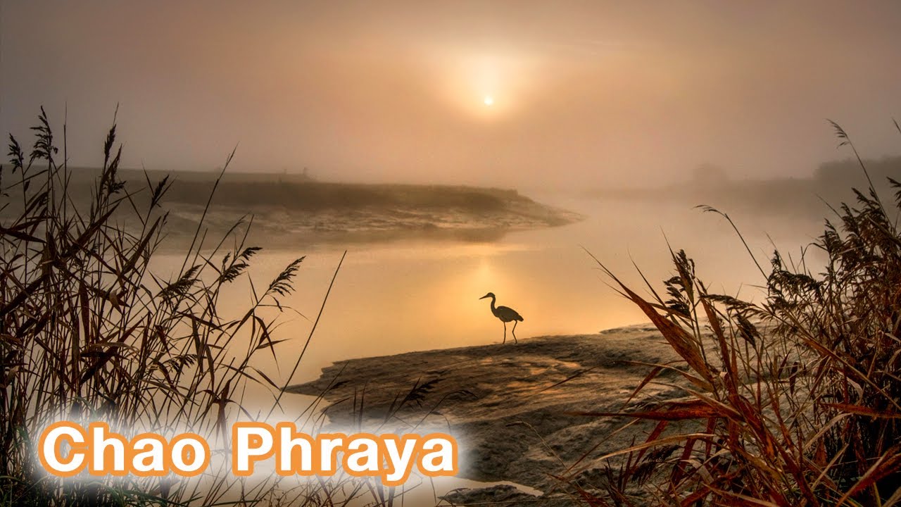 รูปภาพ นั่งสมาธิ Photomeditation ดาวโหลด Google Youtube SEO