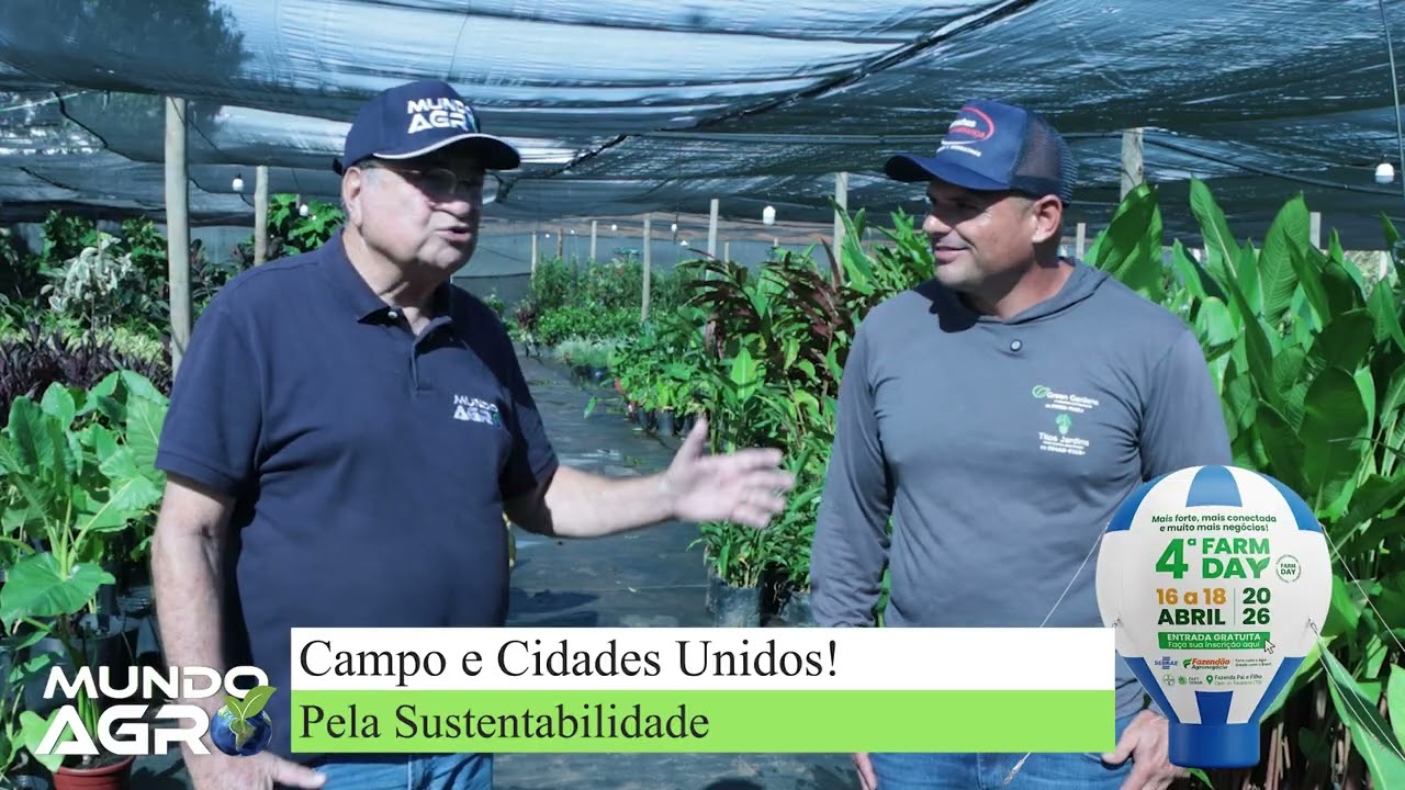 12 Abril – Domingo