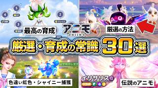 【アニモ】育成と厳選の攻略情報30選、色違い、虹色フォーム、シャイニー、伝説「イリサリス」、無料の新作オープンワールドゲーム【Aniimo】