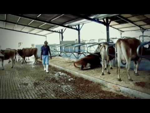 Conselho Nacional de Desenvolvimento Pecuário