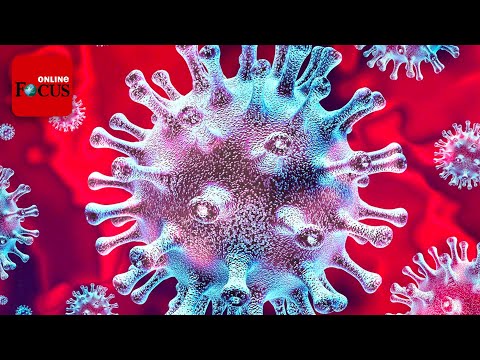 Die neue Super-Variante, der "unsichtbare Feind" aus Südafrika: "Nichts ist schlimmer"