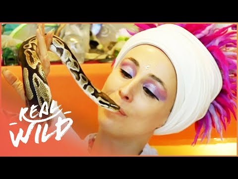 Snake Yoga And The Toughest Rescue Yet! | Snakes In The City | Real Wild Documentary