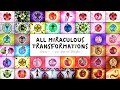 Every Miraculous transformation (Season 1-4)