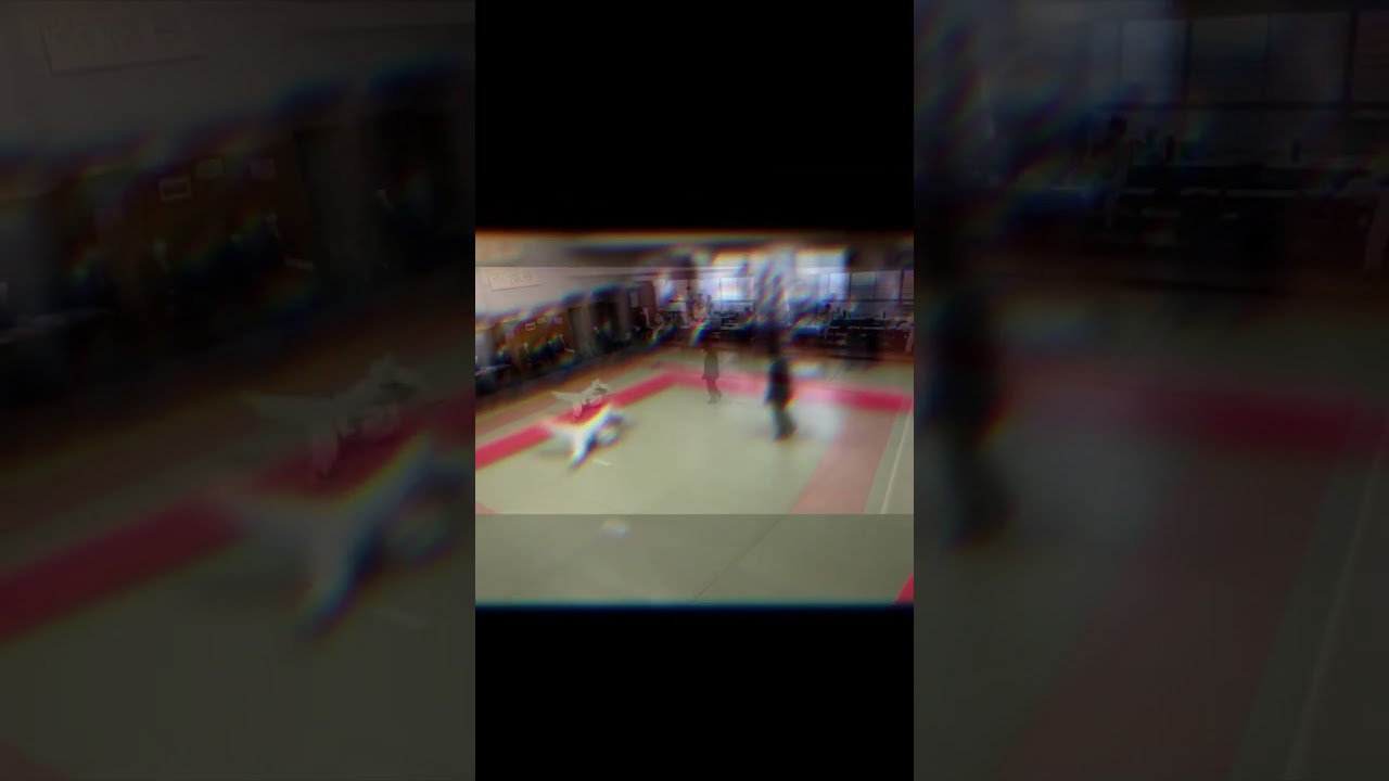 私の投げ！🥋#一本集 #柔道女子 #袖釣り込み腰#選手権予選