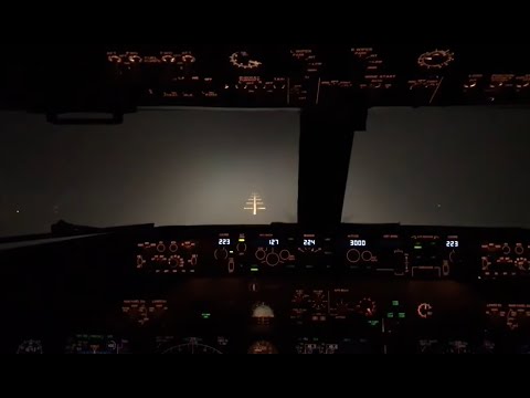 Aterrizaje en niebla