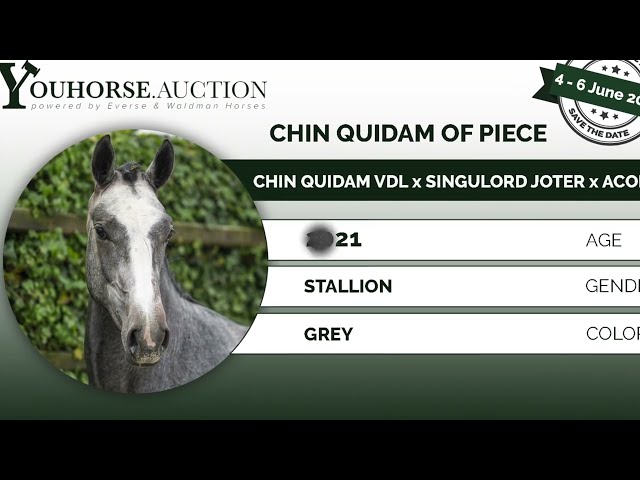 Chin Quidam of Piece