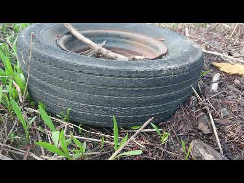 1960's Goodyear Polyglas Muscle Car Tire Found in the Woods