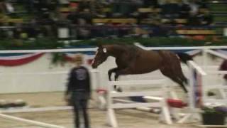 Video von For Ever Jump