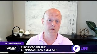 Terra stablecoin collapse was ‘entirely predictable,’ Circle CEO says