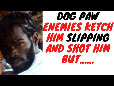 Car Load Of 87s Pull Up And SH0T Dog Paw But He Still Escapes With His Life