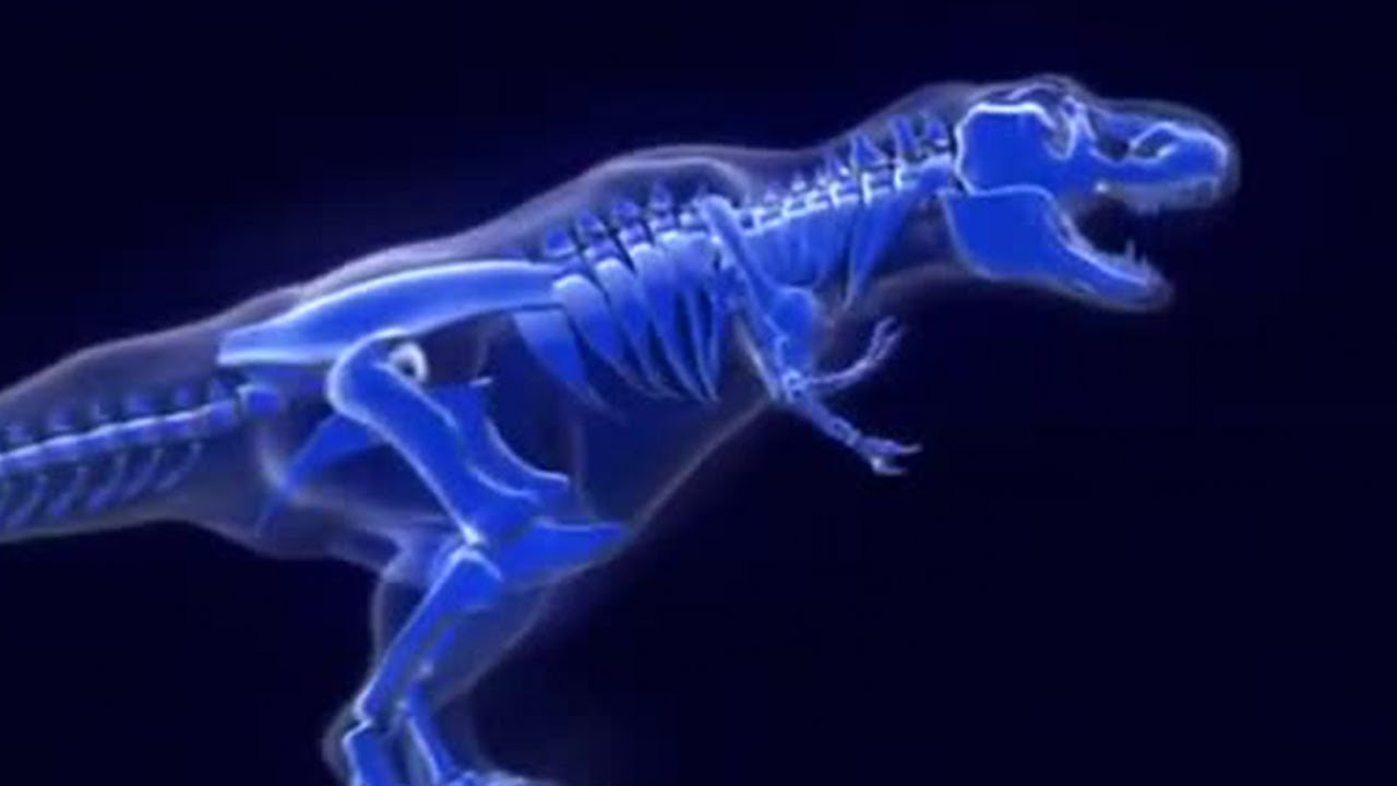 T. Rex: Warrior or Wimp?