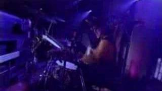 Steve Earle - More Than I Can Do