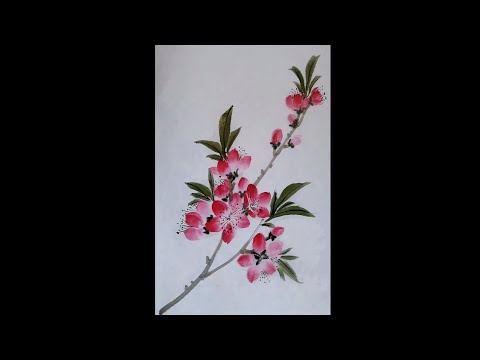 桃花圖片