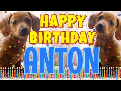 Happy Birthday Anton! ( Funny Talking Dogs ) What Is Free On My Birthday