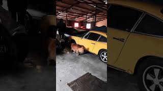 Unveiling History: Rediscovering an Epic Oldtimer Barn Find 