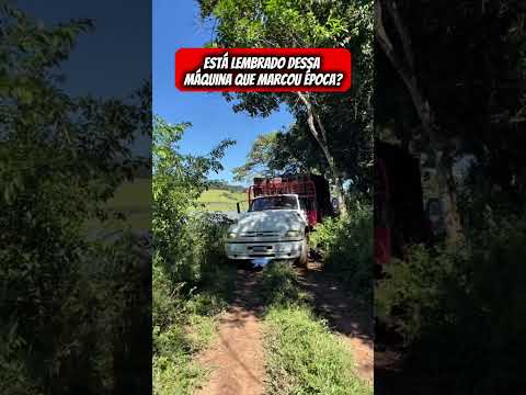 "Ford Sapão"
