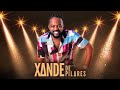 Xande De Pilares Completo Só As Melhores Xande De Pilares Pagode Do Xande De Pilares Pagode 2022