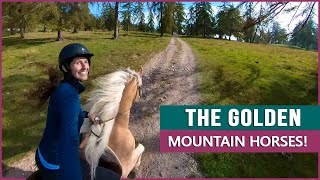 Equestrian Rides the Haflinger in South Tyrol!