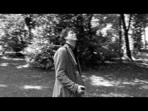 A.H.J. Dautzenberg: geroosterde ooievaar