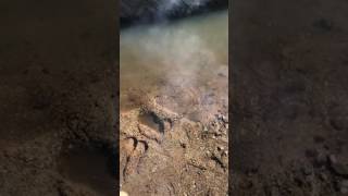 ロケット花火リア友に当たりそうだったw