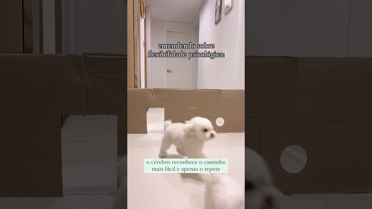 16 de setembro de 2024