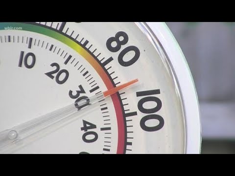 WBIR 10News at 6: Friday evening headlines for May 24, 2019