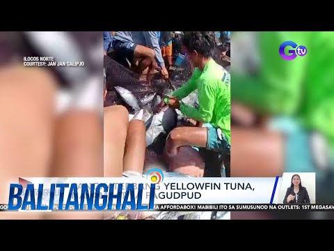 Sangkaterbang Yellowfin tuna! BT