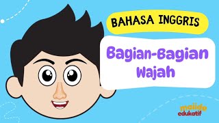 Download lagu Bagian Wajah Dalam Bahasa Inggris/Part of The Face (Part of The Body) mp3 Download lagu Bagian Wajah Dalam Bahasa Inggris/Part of The Face (Part of The Body) mp3