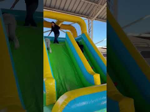Video 7