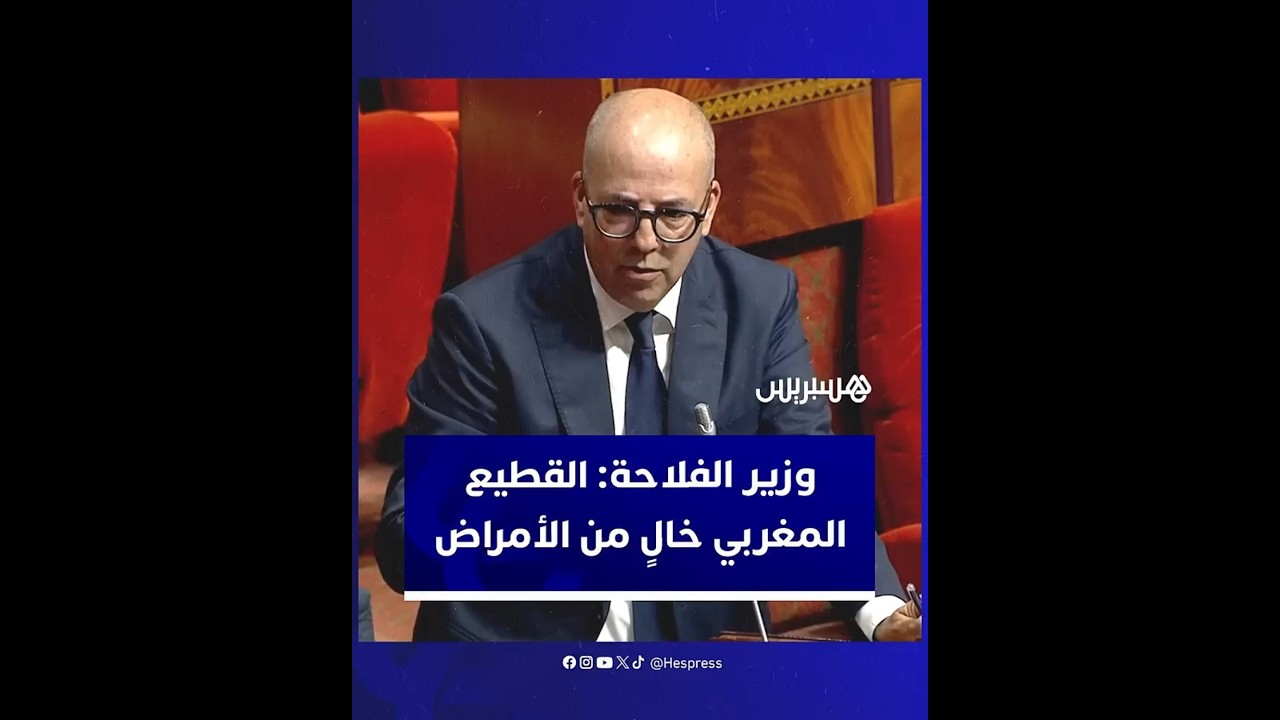 وزير الفلاحة أحمد البواري: القطيع المغربي خالٍ من الأمراض وسأكون أول من يتحدث عنها إذا ظهرت thumbnail