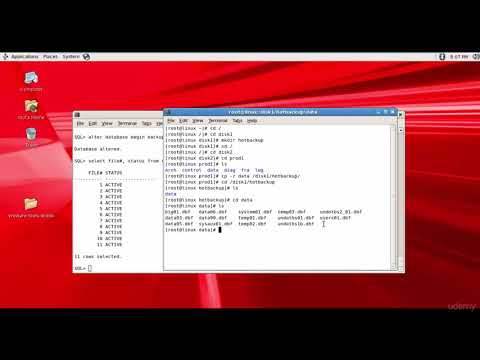 100 Oracle DBA Complete Tutorial - Hot Backup Demo