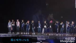 seventeen Love letter 日本語ver (日本語＆歌詞)