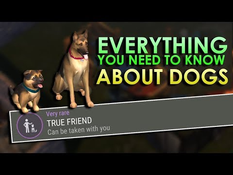 Dogs Explained (How to get True Friends Trait & More) - Last day on Earth: Survival 1.7.12