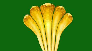 Download lagu Naagin Season 6 Pratha | Five Headed Snake Animations | On Green Screen Made By ZQs Edits mp3