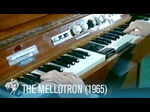 Mellotron MK2 image 5