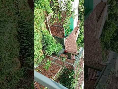 em Catende Pernambuco