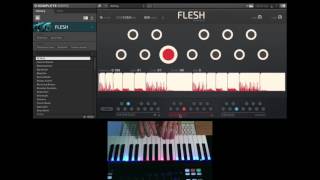 Video thumbnail for Exploring FLESH by Tim Exile