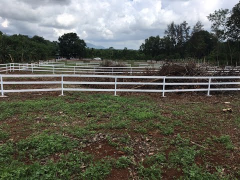 BÁN ĐẤT SÀO -VỊ TRÍ SIÊU ĐẸP GIÁ CHỈ 1TR5M2 CÓ SỔ RIÊNG