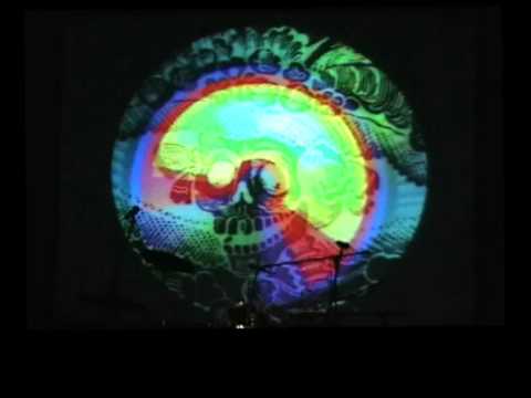 Lagartijeando DJ & Maria Jaramillo VJ