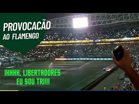 Torcida do Palmeiras canta ihhh Libertadores eu sou Tri antes da partida contra o Flamengo!